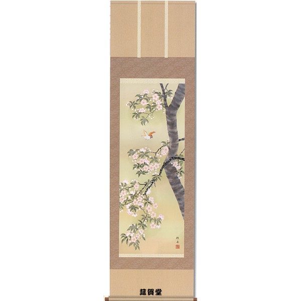 掛軸 長江桂舟筆「桜花に小鳥」 季節掛(春)